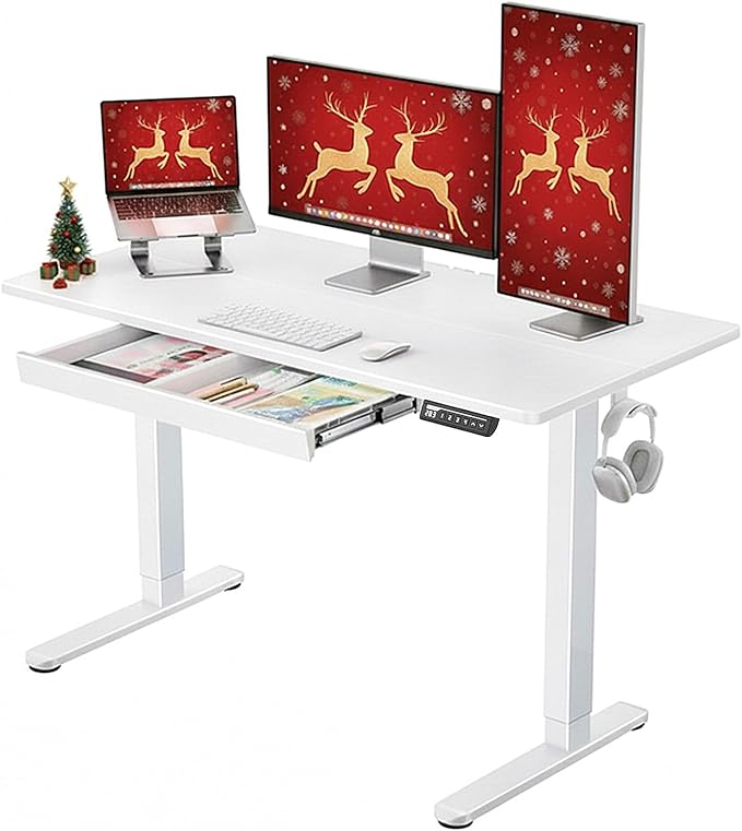 ErGear Electric Standing Desk with Drawers